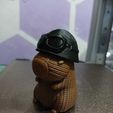 Imagen-de-WhatsApp-2025-08-23-a-las-19.50.47_9938373a.jpg capybara with assorted helmets