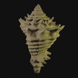 shell.blend10349.png Shell