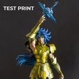 TEST-PRINT-1.jpg Gemini Saga 3D print model  - Saga de Gêmeos