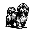 rf1.jpg shih tzu