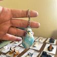 IMG-20250627-WA0021.jpg Parakeet Keychain STL – 3D Printable Bird Keychain Digital File – Budgie Gift for Bird Lovers