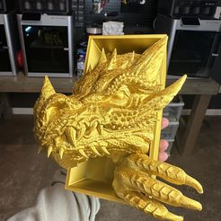 Dragon Emerging Book Nook - Edición Cabeza y Cola