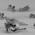 Render_01_030016.jpg 001732 Crânio de girafa - Digitalização 3D em bruto