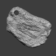 vf7.png Velociraptor Face Mineral Fossile - Realistic Printable Resin