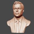 11.jpg Brad Pitt portrait sculpture