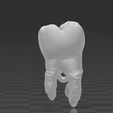 1.png Chaveiro Dente Molar (Molar Tooth Keychain)