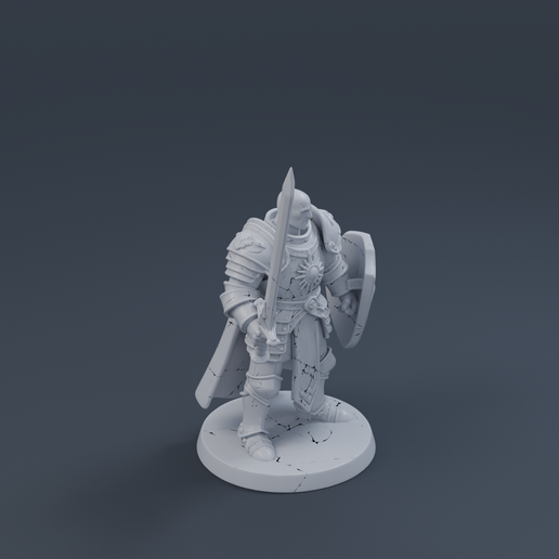 Elite Shiel Guard 3D printable STL miniature