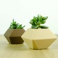 IMG_9909.jpg Free STL file Low Poly Planter・3D print design to download