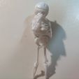 IMG_20231112_171155.jpg Standing skeleton