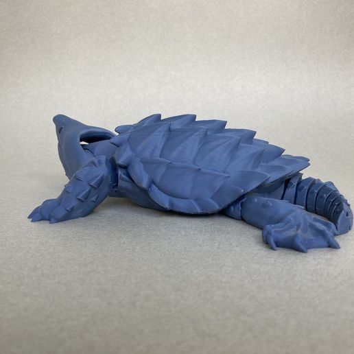 IMG_E0524.jpg Alligator-Schnappschildkröte