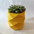 IMG_20210213_150702.jpg Low Poly Pineapple Mini Cactus Pot