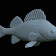 Perch-statue-37.png fish perch / Perca fluviatilis statue detailed texture for 3d printing