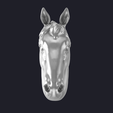 Horse_Head-render-4.png 马头 3D 模型