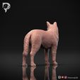 Australian-Cattle-Dog-Pose-02-Dog-3D-Print-4s.jpeg Australian Cattle Dog 3D Print Model Pose 02