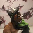 IMG_1045.jpg Witch highland Cow
