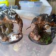 Rattus Muscularis