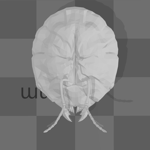 Ant's-Skull-Plate.png Ant's Skull Plate