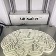 IMG_3955.jpg Free STL file super_brain_maze・3D print design to download
