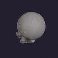 cannonball_jellyfish_0015.jpg Cannonball Jellyfish
