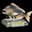 Dentex-trophy.png fish Common dentex / dentex dentex trophy statue detailed texture for 3d printing