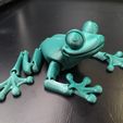 Simpática rana flexible para imprimir en el lugar, Hom_3D_lab