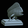 mahi-mahi-model-1-37.png fish mahi mahi / common dolphin trophy statue detailed texture for 3d printing