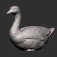 snow-goose6.jpg snow goose 3D print model