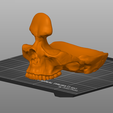 Captura.png Файл STL Держатель подставки для очков с черепом・Модель 3D-принтера для скачивания, 3Dimension3d