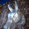 4be274e3-1123-45c4-9553-b2cc3e5edcc9.jpg Horse's Head