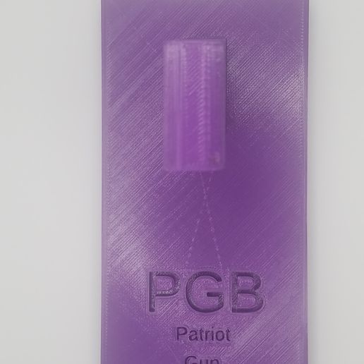 20230713_142402.jpg Multi Themed Stand for Glock 43