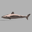 Low_poly_Reef_Shark_.png Low-Poly Animals