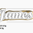 j6.png james logo signet ring