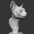 09.png Sphynx Cat Head AM08 3D print model