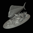 my_project-1-24.png mahi mahi / dorado / common dolphinfish underwater statue detailed texture for 3d printing