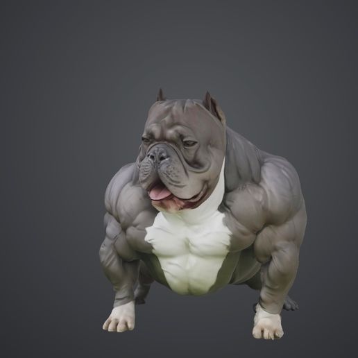 🐕 American bully・Free STL File for 3D printing・Cults