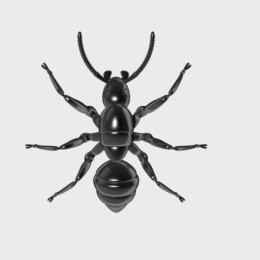 🐜 Realistic Ant Model | Insect 3D Printable STL Figure・ STL File for 3D ...