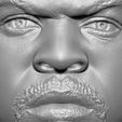 17.jpg Ice Cube bust 3D printing ready stl obj formats