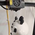457290722_1040218474417971_4838742925518593429_n.jpg Mad Panda , Bad Panda, Peter Panda