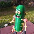 20240606_154735_HDR.jpg Pickle rick with rat armor