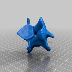 Neck_Vert_Cow.jpg Download free STL file Neck Vertebra • 3D printing template, JulPal