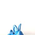 WhatsApp-Image-2023-01-19-at-8.41.27-AM-3.jpeg Archivo STL Nice Flexi Rabbit・Modelo para descargar y imprimir en 3D