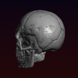 10.png Skull detailed
