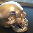 2.55.44.jpg Pirate skull