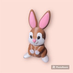 Photoroom_20240403_084715.jpg Articulating Bunny