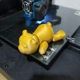 flexi bear