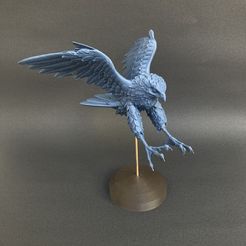 IMG_8034.jpg STL file Peregrine Falcon・3D print design to download