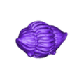 trilobite1.stl Trilobite 1