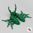 03.jpg Foldable Stag Beetle - Flexi
