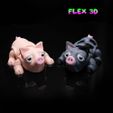 Piglet-Chunky-1.jpg Flex 3D Piglet Chunky