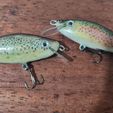 20230828_191748.jpg trout lure